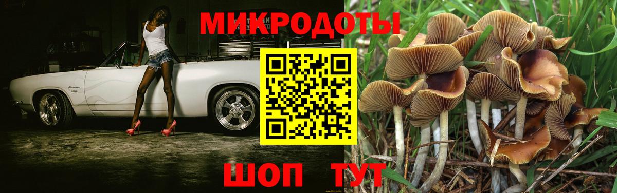 Галлюциногенные грибы Psilocybine cubensis Семёнов