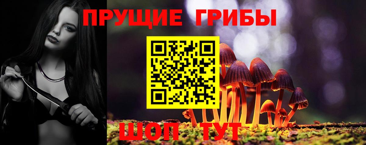 Псилоцибиновые грибы Psilocybe  Галлюциногенные грибы мицелий  Семёнов  Вход с VPN 